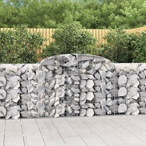 INLIFE 3146716 Lot de 25 gabions à arc haut en fer galvanisé 300 x 50 x 100/120 cm 945 kg - Publicité