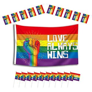 A/A Lot de 10 drapeaux de jardin Love Wins – Drapeau de jardin arc-en-ciel Love Wins – Grand drapeau de 0,9 x 1,5 m, bannières arc-en-ciel de 3 m et 10 petits drapeaux LGBT à main pour décoration de - Publicité