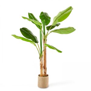 Oviala Bananier artificiel feuilles en tissu H180cm Vert 180x180x150cm