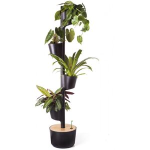 Citysens Jardin d'interieur avec 4 plantes depolluantes et arrosage auto noir Noir 29x148x29cm