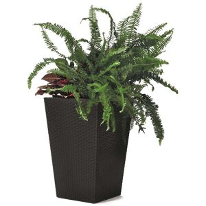 KETER RATTAN PLANTER M 55,4L Pot moyen, 38,5 x 57 cm, anthracite 17192301