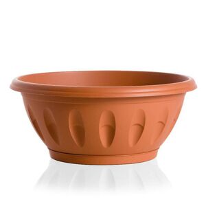 Vaso in Plastica Basso Rotondo 10L per Piante con Sottovaso Alba Ø 25×10,5 cm Colore Terracotta