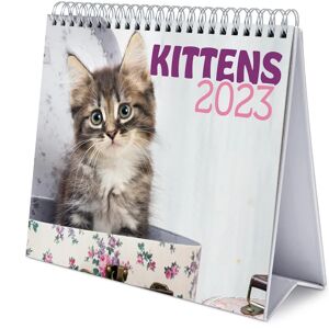 Leroy Merlin Calendario Cats