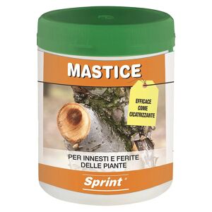 Sprint MASTICE PER INNESTI E FERITE DELLE PIANTE  0,5 kg PER POTATURA