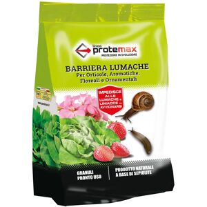 Tecnomat BARRIERA LUMACHICIDA PROTEMAX PRONTO ALL'USO 1 kg