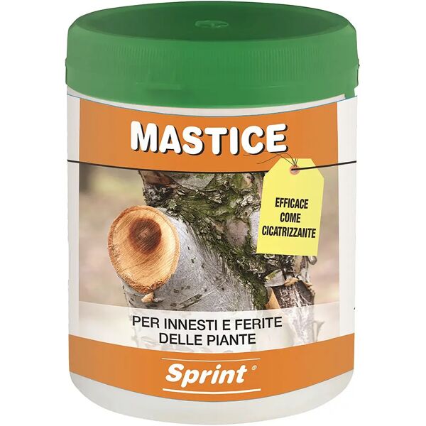 sprint mastice per innesti e ferite delle piante  0,5 kg per potatura