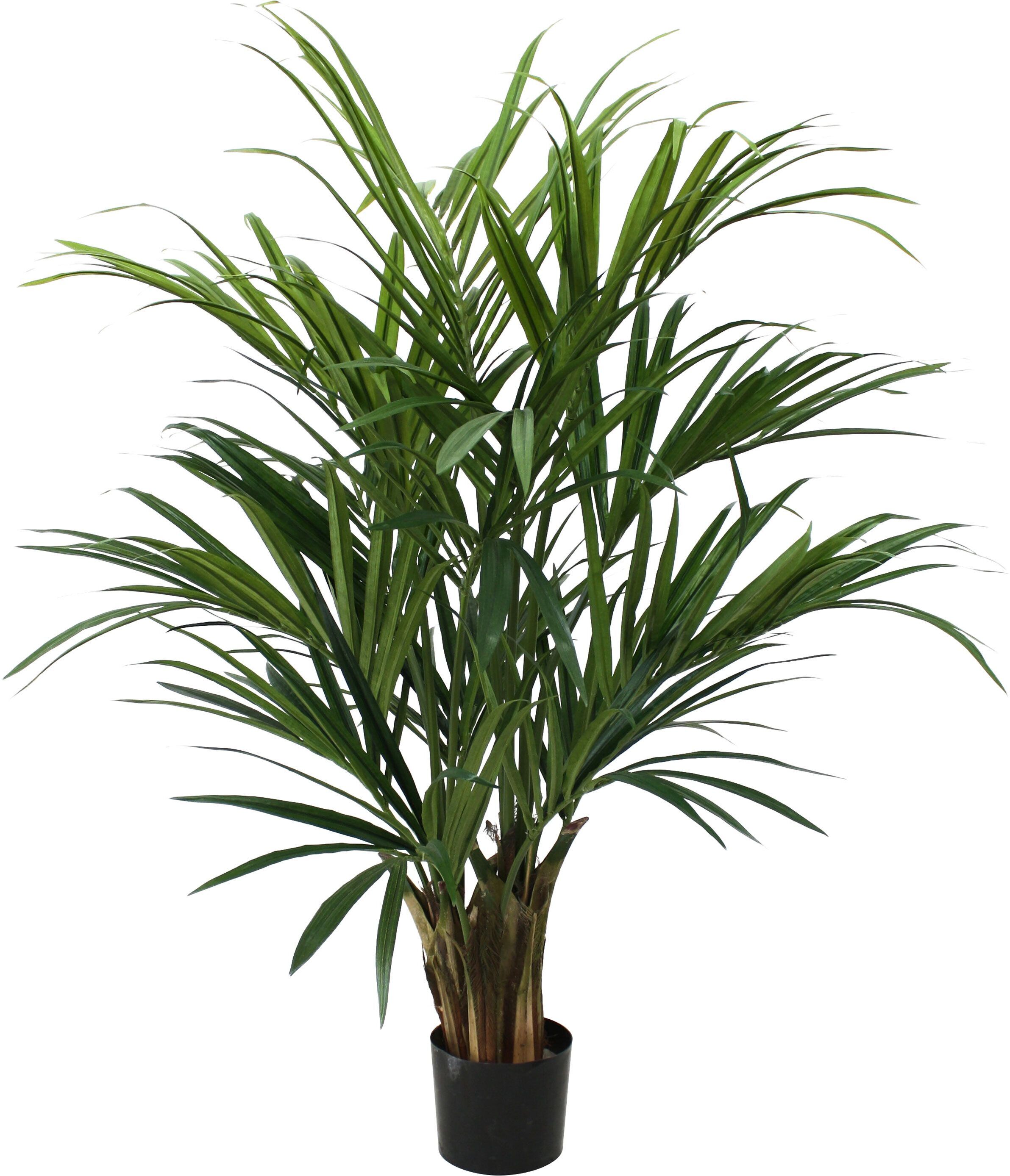 Designplants Kentia palm kunstplant 140