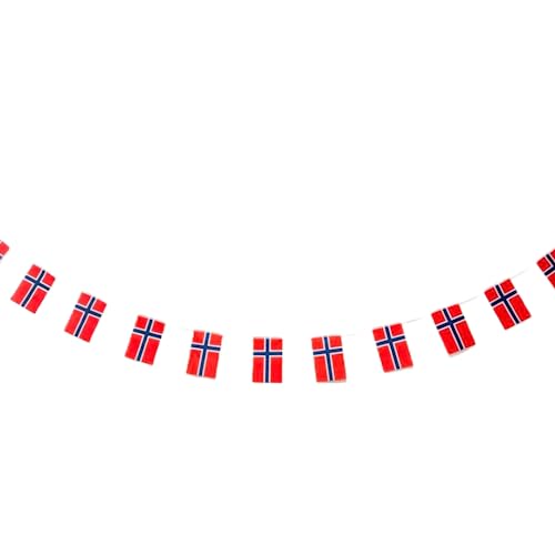 Pandiui23 Noorwegen vlag 40 stuks Noorse vlag Noorwegen slinger 11,4 m Noorwegen vlaggen nationale vlag Noorwegen nationale vlag 14x21cm voor tuinbars decoraties (Noorwegen)