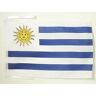 AZ FLAG Uruguay Vlag 45x30 cm koorden Uruguayaanse SMALL vlaggen 30 x 45 cm Banner 18x12 in hoge kwaliteit