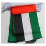 AZ FLAG Slinger 6 meter 20 Verenigde Arabische Emiraten Vlaggen 21x15 cm Emiraten Vlag 15 x 21 cm