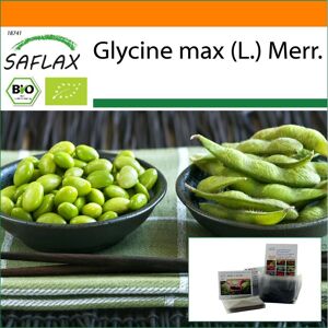 SAFLAX - Garden in the Bag - Organic - Edamame - 8 seeds - With substrate in a fitting stand up bag - Glycine