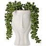 Hestia Face Planters with Faux Plant 19cm