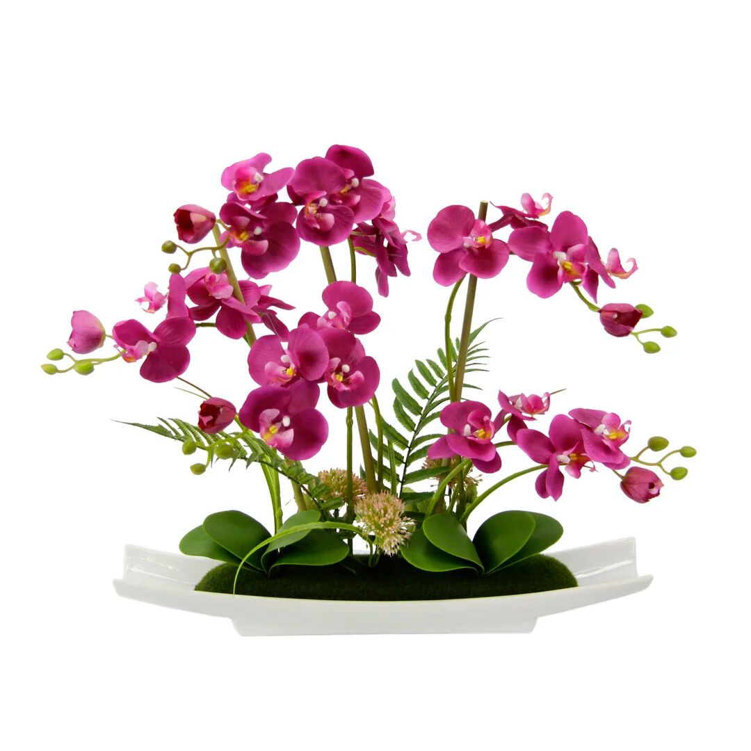 Photos - Other interior and decor The Seasonal Aisle Orchid Arrangement in Vase pink/indigo 58.0 H x 55.0 W