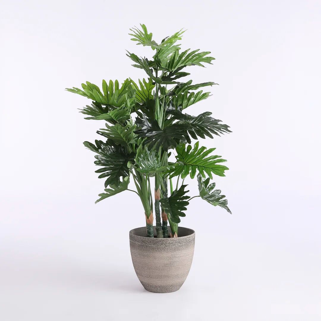 Photos - Other interior and decor The Seasonal Aisle Artificial Philodendron Plant in Pot 120.0 H x 80.0 W x