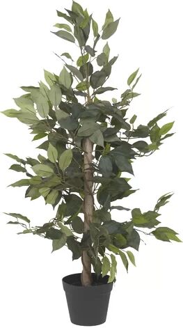 The Seasonal Aisle Fiscus Tree in Pot The Seasonal Aisle Flower/Leaves Colour: Green  - Size: 95cm H X 78cm W X 8cm D