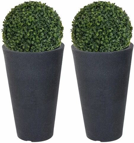 The Seasonal Aisle Tabletop Boxwood Grass in Pot The Seasonal Aisle  - Size: