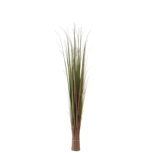 The Seasonal Aisle Artificial Herbs Grass The Seasonal Aisle Size: 150cm H x 15cm W x 15cm D  - Size: 160cm H X 203cm W X 5cm D