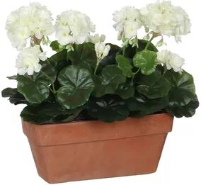 The Seasonal Aisle Geranium Flower Pot The Seasonal Aisle Flower Colour: White  - Size: Medium