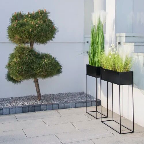 Dakota Fields Mistaya Plant Stand Dakota Fields Colour: Black, Size: 90cm H x 64cm W x 24cm D  - Size: 90cm H X 24cm W X 24cm D