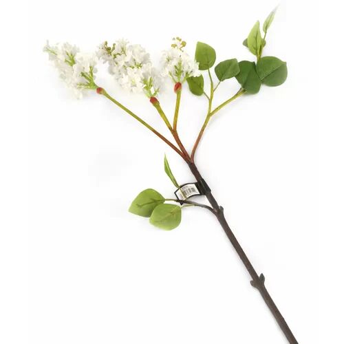 The Seasonal Aisle Blossom Lilac (Set of 6) The Seasonal Aisle  - Size: 74cm H x 19cm W x 10cm D