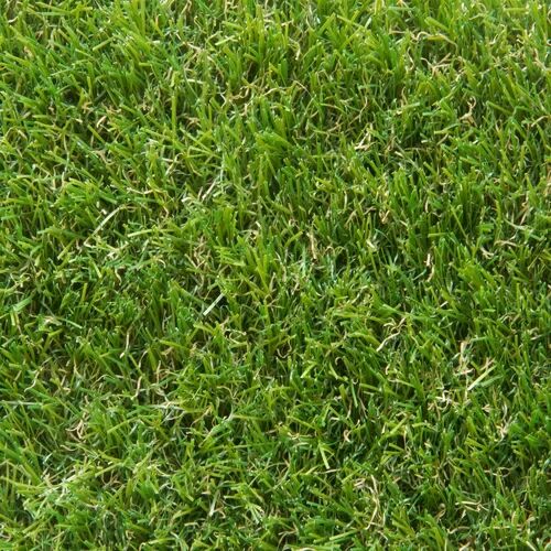 The Seasonal Aisle 4cm Artificial Grass The Seasonal Aisle Size: 4cm H x 200cm W x 50cm D  - Size: 4cm H x 200cm W x 700cm D