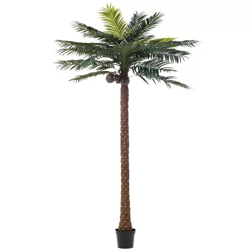 The Seasonal Aisle Palm Tree in Pot The Seasonal Aisle  - Size: 45.72cm H x 66.04cm W x 3.81cm D