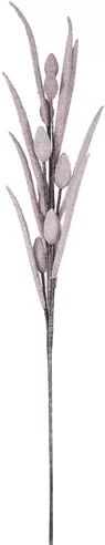 The Seasonal Aisle Bunny Tail Stem (Set of 2) The Seasonal Aisle Flowers/Leaves Colour: Pink  - Size: 35cm H X 7cm W X 7cm D