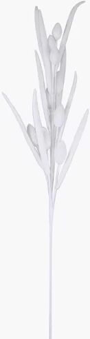 The Seasonal Aisle Bunny Tail Stem (Set of 2) The Seasonal Aisle Flowers/Leaves Colour: White  - Size: 40cm H X 40cm W X 2cm D