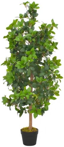 The Seasonal Aisle Laurel Tree in Pot The Seasonal Aisle  - Size: