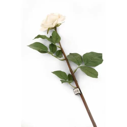 The Seasonal Aisle Roses Stem (Set of 6) The Seasonal Aisle  - Size: Extra Large