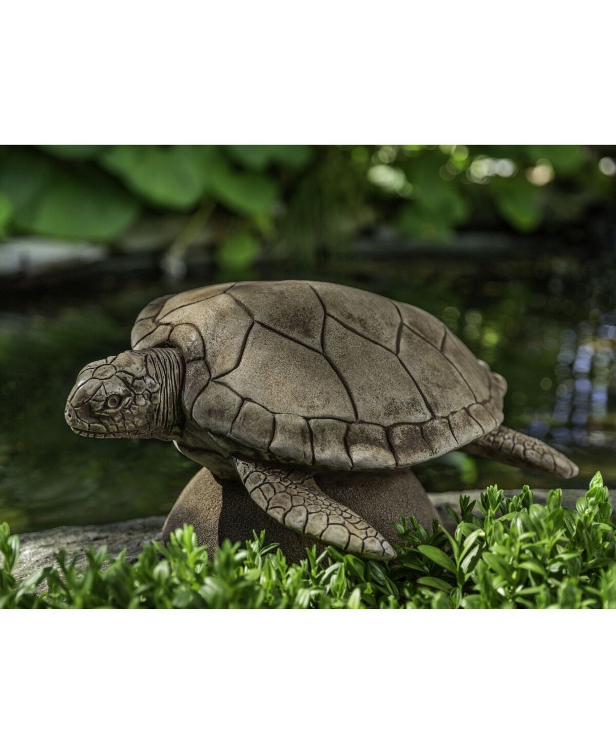 Campania International Large Sea Turtle Statuary - Rust