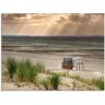 Artland Glasbild »Schwarzer Busch Strand auf Insel Poel«, Strand, (1 St.) beige B/H: 80 cm x 60 cm B/H: 80 cm x 60 cm unisex