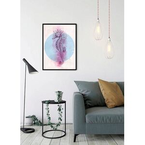 Komar Poster »Sea Horse Circle«, Tiere, (1 St.), Kinderzimmer, Schlafzimmer,... bunt