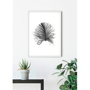 Komar Poster »Feather White«, Federn, (1 St.), Kinderzimmer, Schlafzimmer,... bunt