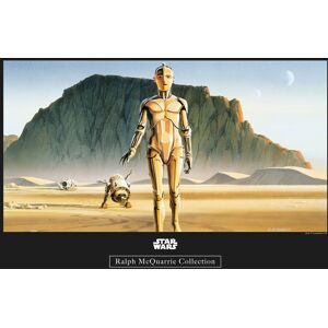 Komar Poster »Star Wars Classic RMQ Droids«, Star Wars, (1 St.),... bunt