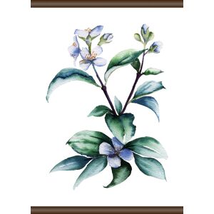 queence Leinwandbild »Lila Pflanze«, 50x70 cm bunt