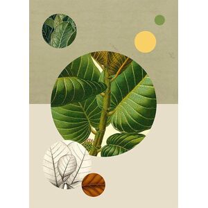 Komar Poster »Green Structure«, Pflanzen-Blätter, (1 St.), Kinderzimmer,... bunt