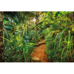 Komar Fototapete »Jungle Trail«, 368x254 cm (Breite x Höhe), inklusive Kleister grün  B/L: 368 m x 254 m