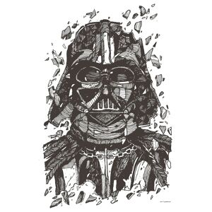 Komar Wandbild »Star Wars Darth Vader Drawing«, (1 St.), Kinderzimmer,... bunt