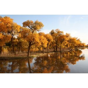 Papermoon Fototapete »HERBST LANDSCHAFT-CHINA SEE WALD BÄUME STRAND SONNE« bunt  B/L: 4,50 m x 2,80 m