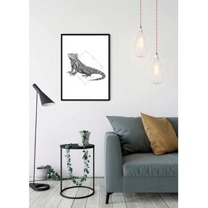 Komar Poster »Iguana White«, Tiere, (1 St.), Kinderzimmer, Schlafzimmer,... bunt