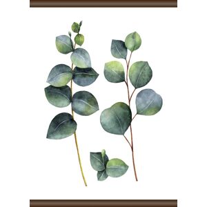 queence Leinwandbild »Eukalyptus Pflanze«, 50x70 cm bunt