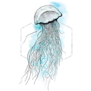 Komar Poster »Jellyfish Watercolor«, Tiere, (1 St.), Kinderzimmer,... bunt