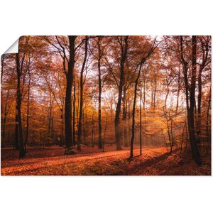 Artland Wandbild »Sonnenaufgang im Herbst II«, Wald, (1 St.), als Alubild,... braun Größe