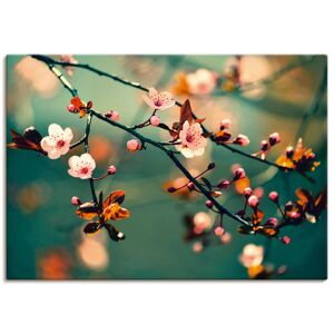 Artland Wandbild »Japanische Kirsch Sakura Blumen«, Blumen, (1 St.), als... blau Größe