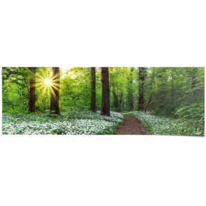 Reinders! Poster »Waldlichtung Frühling«, (1 St.) grün Größe