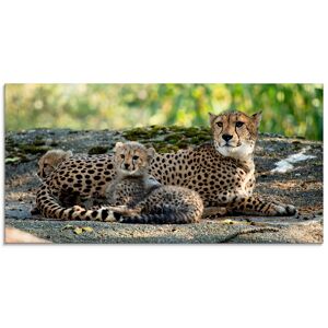Artland Glasbild »Gepard 2«, Wildtiere, (1 St.), in verschiedenen Grössen braun Größe