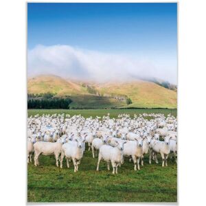 Wall-Art Poster »Schafherde Neuseeland«, Tiere, (1 St.), Poster ohne... bunt Größe