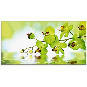 Artland Glasbild »Schöne Orchidee mit grünem Hintergrund«, Blumen, (1 St.),... grün Größe