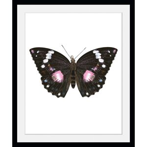 queence Bild »Marissa«, Schmetterlinge, (1 St.) lila Größe